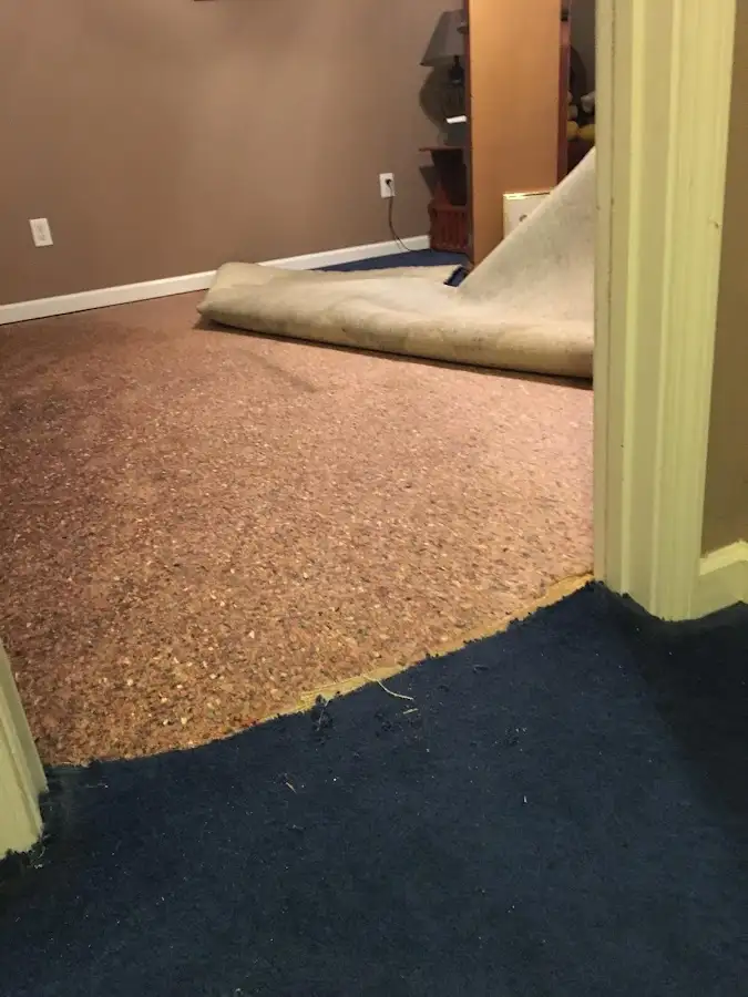 Carpet pad removal revealing water damage during Water Mitigation Services in Fort Lee