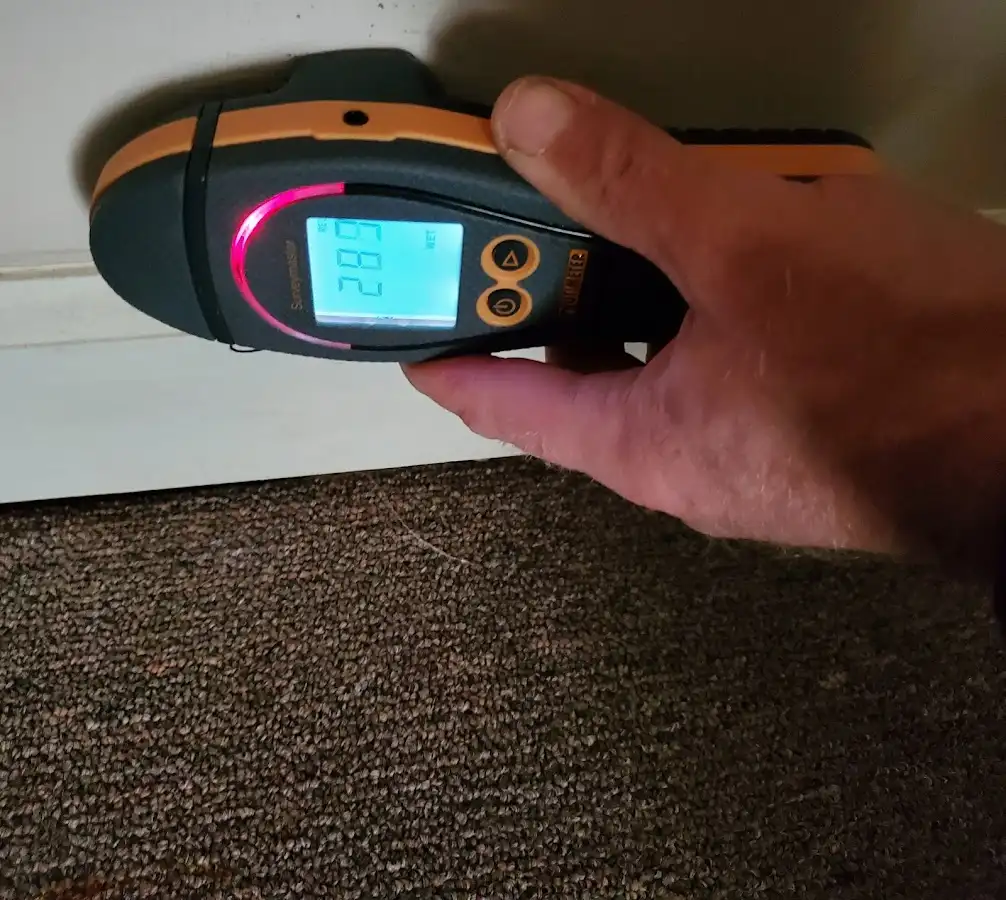 Moisture detection at baseboard during Sewage Cleanup & Sanitation in Fort Lee